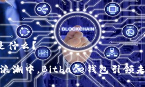 Bitbase钱包是什么？

在数字货币的浪潮中，Bitbase钱包引领未来金融的潮流