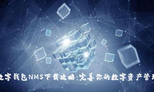 数字钱包NMS下载攻略：完善你的数字资产管理