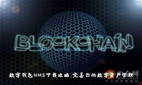 数字钱包NMS下载攻略：完善你的数字资产管理