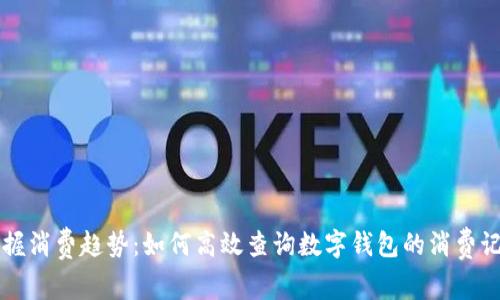掌握消费趋势：如何高效查询数字钱包的消费记录
