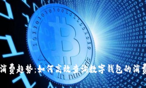 掌握消费趋势：如何高效查询数字钱包的消费记录