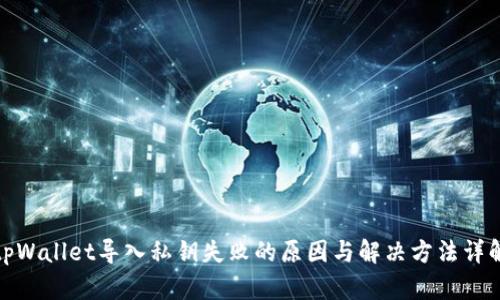 tpWallet导入私钥失败的原因与解决方法详解