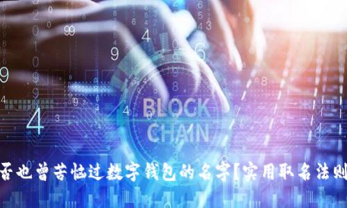 : 你是否也曾苦恼过数字钱包的名字？实用取名法则大揭秘