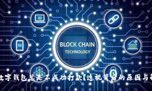 为什么数字钱包总是不成功打款？透视背后的原因与解决方案