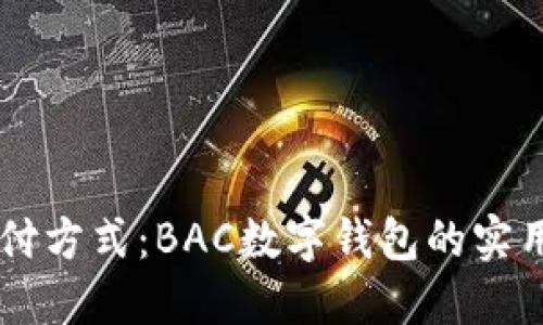 重新定义支付方式：BAC数字钱包的实用价值与魅力