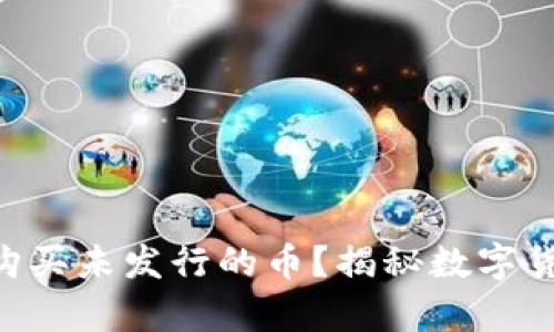 如何使用tpWallet购买未发行的币？揭秘数字货币投资的创新之路！