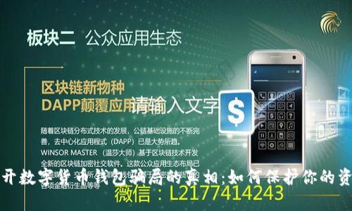 揭开数字货币钱包骗局的真相:如何保护你的资产
