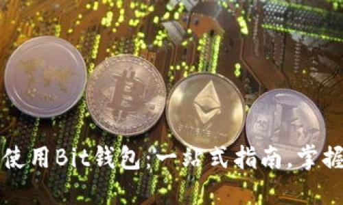 如何安全下载并使用Bit钱包：一站式指南，掌握加密货币的未来