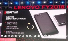 黑龙江数字货币钱包：开启加密货币的新纪元