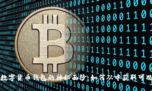 揭开数字货币钱包的神秘面纱：如何从中获取可观利润