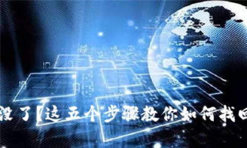 tpWallet里的钱没了？这五个步骤教你如何找回失去的数字资产
