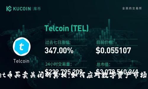 tpWallet币买卖关闭的真相：如何应对数字资产市场的波动？