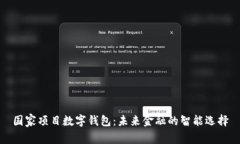 国家项目数字钱包：未来金融的智能选择