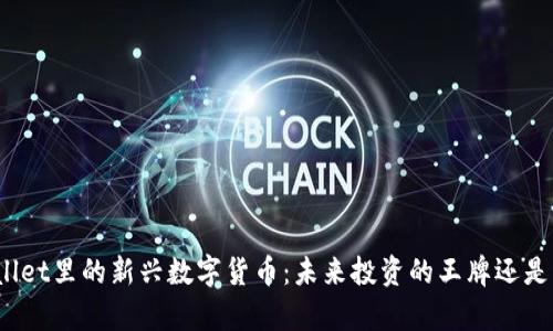 tpWallet里的新兴数字货币：未来投资的王牌还是泡沫？