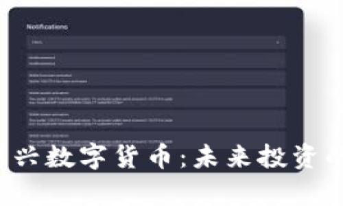 tpWallet里的新兴数字货币：未来投资的王牌还是泡沫？