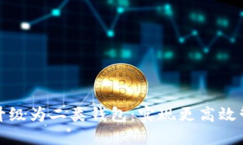 数字钱包如何升级为二类钱包：实现更高效管理的实用指南