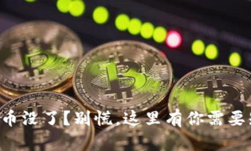 tpWallet刚买的币没了？别慌，这里有你需要知道的应对指南！
