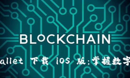 苹果 TP Wallet 下载 iOS 版：掌握数字资产的未来