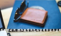 畅游在数字时代：濮阳数字钱包的实用价值与应