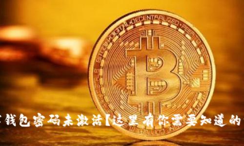 数字钱包密码未激活？这里有你需要知道的一切
