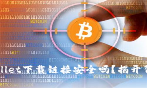 正规tpWallet下载链接安全吗？揭开背后的秘密