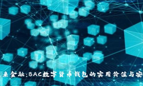 掌握未来金融：BAC数字货币钱包的实用价值与安全保障