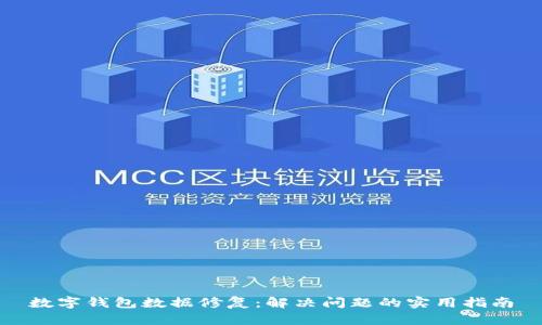 数字钱包数据修复：解决问题的实用指南