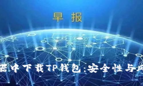 在浏览器中下载TP钱包：安全性与风险解读