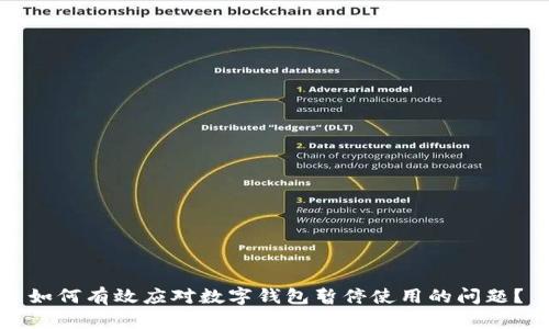 如何有效应对数字钱包暂停使用的问题？