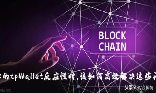 当你的tpWallet反应慢时，该如何高效解决这些问题？