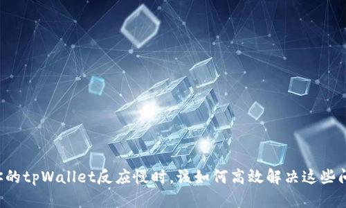 当你的tpWallet反应慢时，该如何高效解决这些问题？