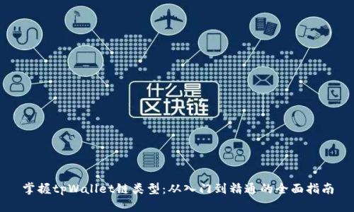 掌握tpWallet链类型：从入门到精通的全面指南
