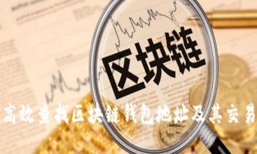 如何高效查找区块链钱包地址及其交易历史