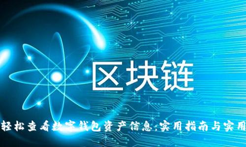如何轻松查看数字钱包资产信息：实用指南与实用技巧