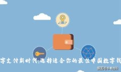 数字支付新时代：选择适合你的最佳中国数字钱