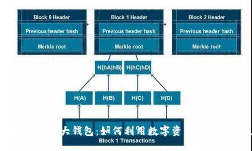 揭秘数字国际大钱包：如何利用数字资产你的财务生活