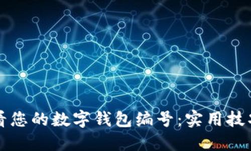 如何快速查看您的数字钱包编号：实用技巧与经验分享