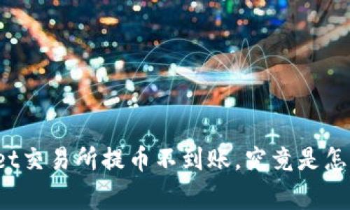 tpWallet交易所提币不到账，究竟是怎么回事？