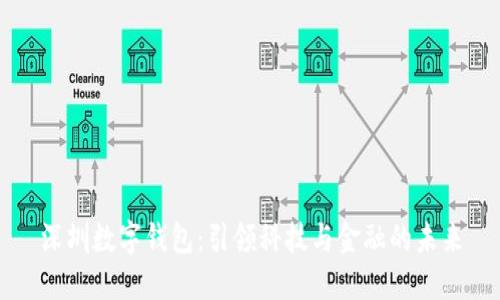 深圳数字钱包：引领科技与金融的未来