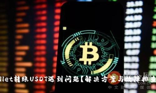 tpWallet转账USDT遇到问题？解决方案与故障排查集锦！
