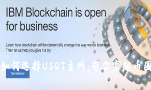 tpWallet如何选择USDT主网：带你穿越币圈的那些事