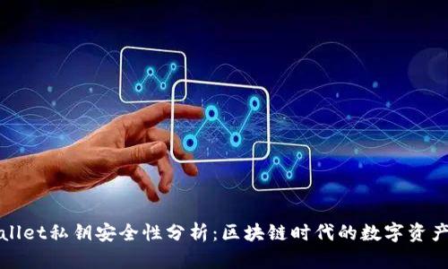 tpWallet私钥安全性分析：区块链时代的数字资产保护