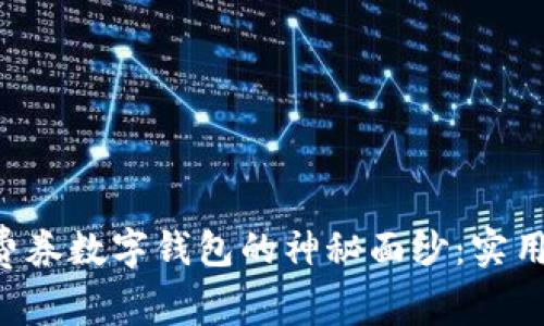 揭开绍兴消费券数字钱包的神秘面纱：实用、便捷与未来