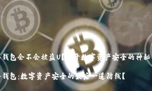 tp冷钱包会不会被盗U？揭开数字资产安全的神秘面纱

tp冷钱包：数字资产安全的最后一道防线？