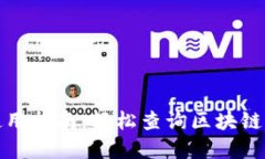 数字钱包使用指南：轻松查询区块链信息的方法