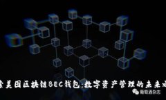 探索美图区块链BEC钱包：数字资产管理的未来之