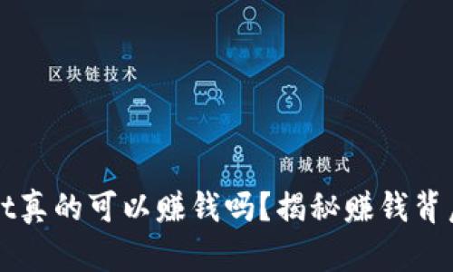 tpWallet真的可以赚钱吗？揭秘赚钱背后的真相