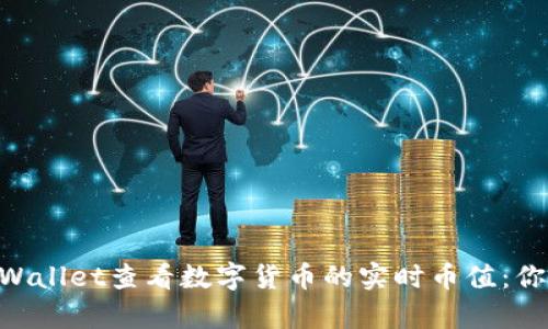 ### 如何使用tpWallet查看数字货币的实时币值：你的钱包，我们的未来