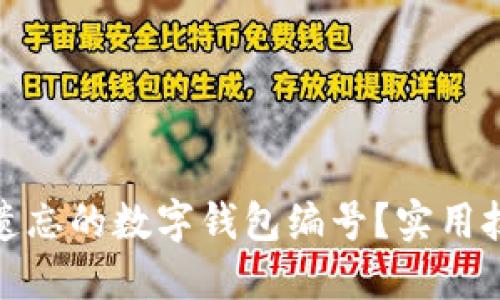如何找回遗忘的数字钱包编号？实用技巧与建议