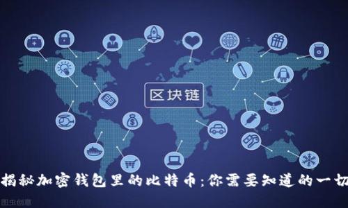 揭秘加密钱包里的比特币：你需要知道的一切